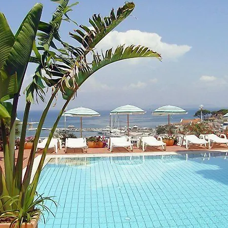 Pithaecusa 3*